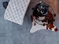 Tilezza Terra Divina 60x60 padlólap 5 színben választható