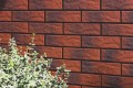 Cerrad Burgund 6,5x24,5 klinker falburkolat család, sima és rusztikus felülettel