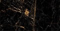 Golden Black High Glossy 60x120 magasfényű falburkolat