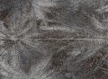 Tubadzin Sedona Palm Decor  2x32,8x89,8